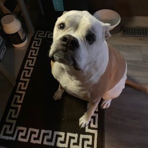 Meet your Posher, Charish